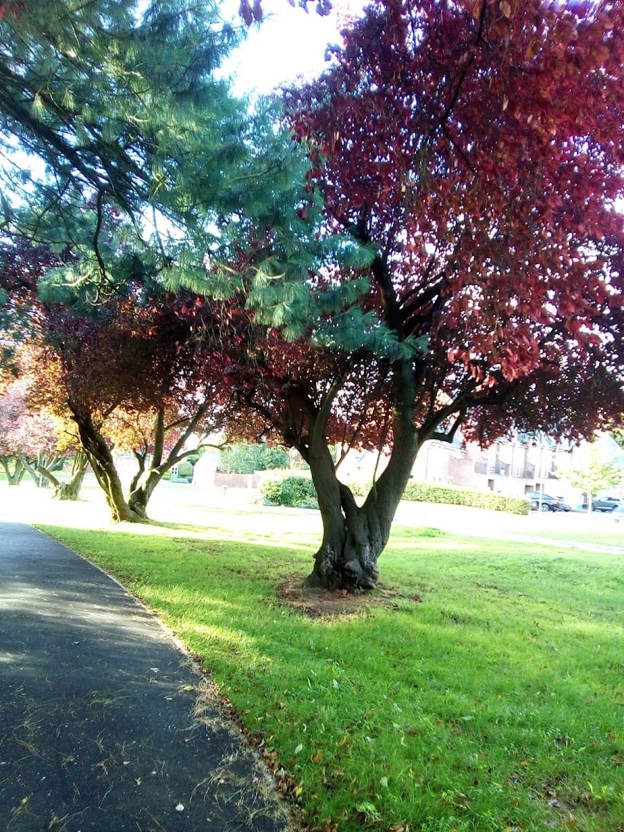 Playground, photo 2