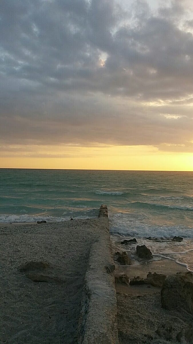 Siesta Key Beach Condo Rental