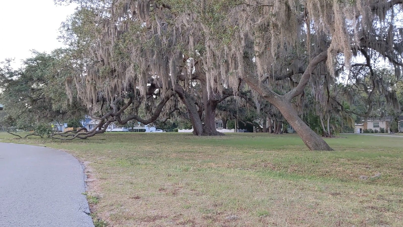 Rivercrest Park, photo 2