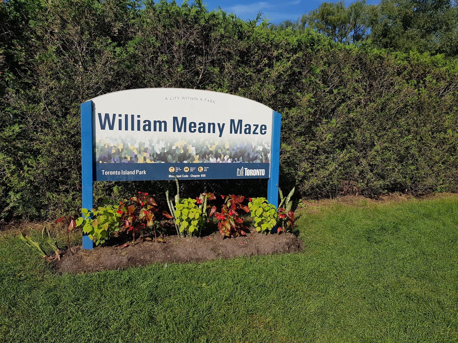 William Meany Maze