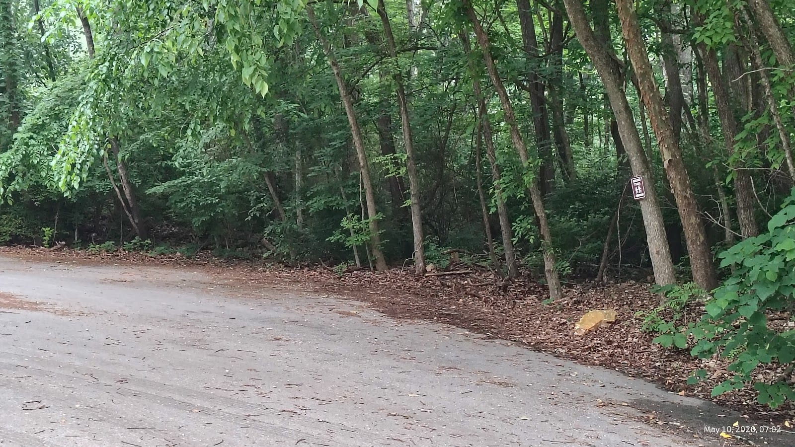 Trail Access (Rainbow Mountain Nature Preserve)