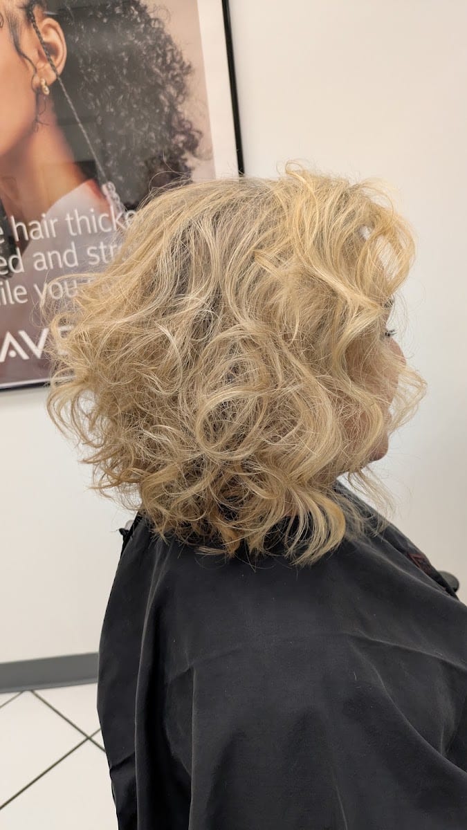 Dillard's Salon & Spa at Park Plaza Mall
