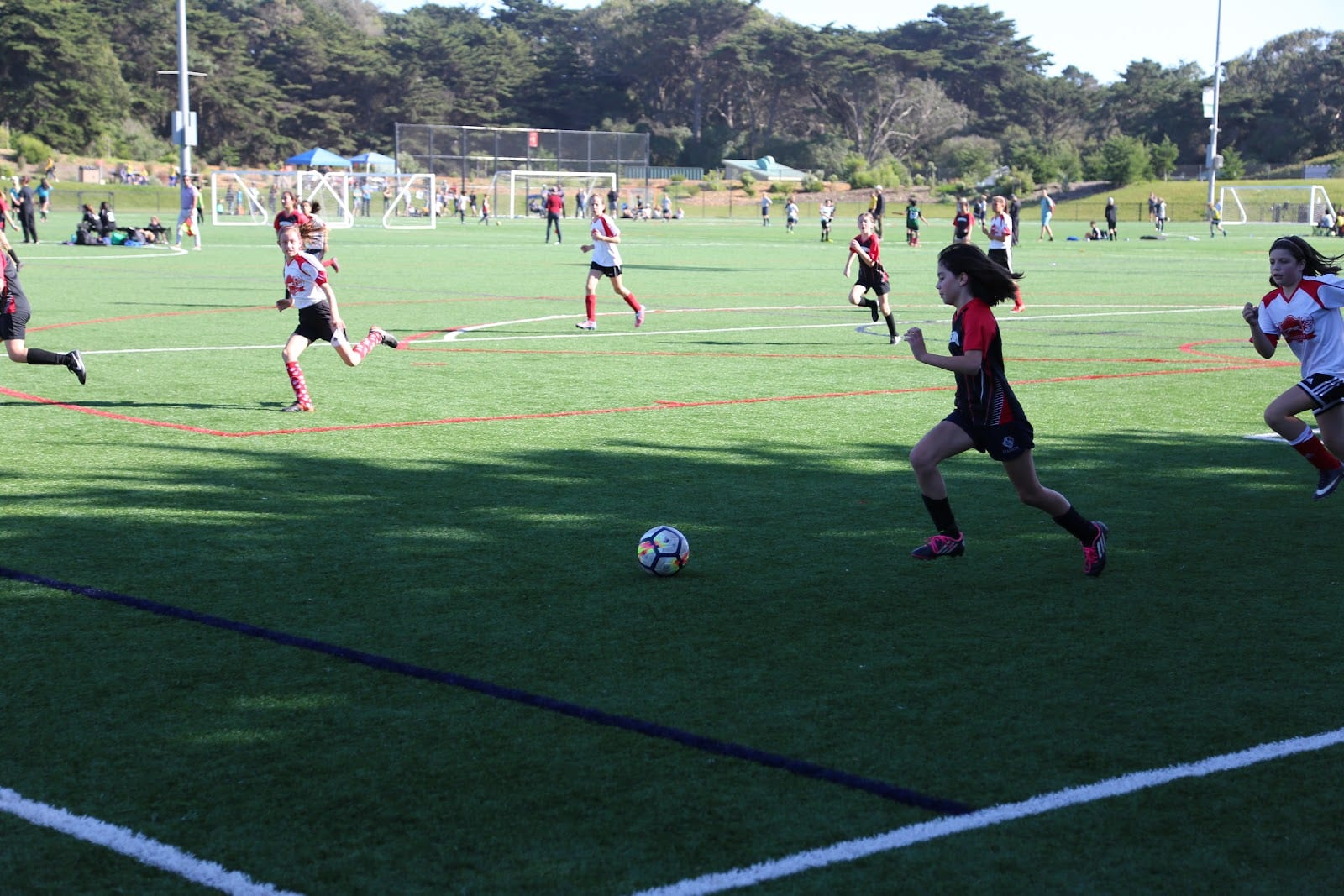 Beach Chalet Athletic Fields, photo 3