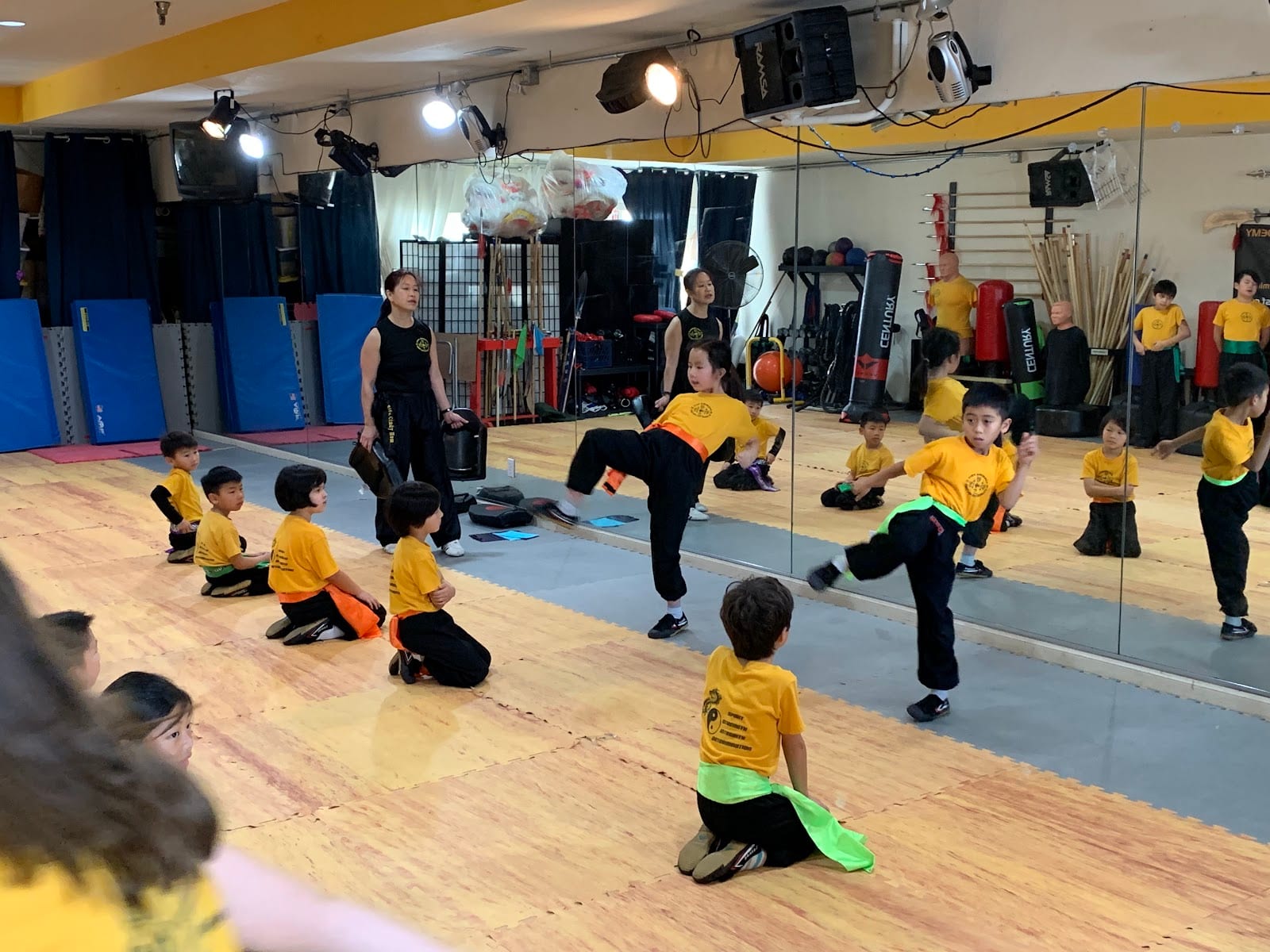 Five Animals Kung Fu Academy