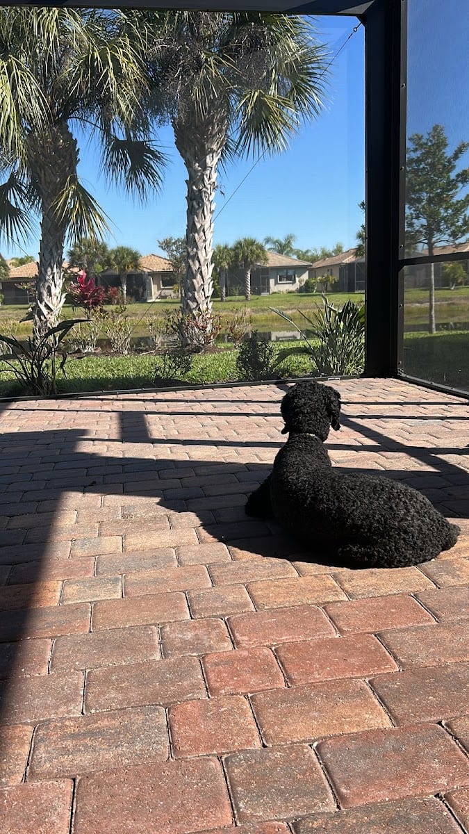 Zachos Realty - Real Estate Agents Venice, photo 2