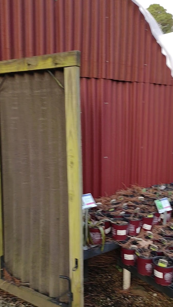 The Good Earth Garden Center