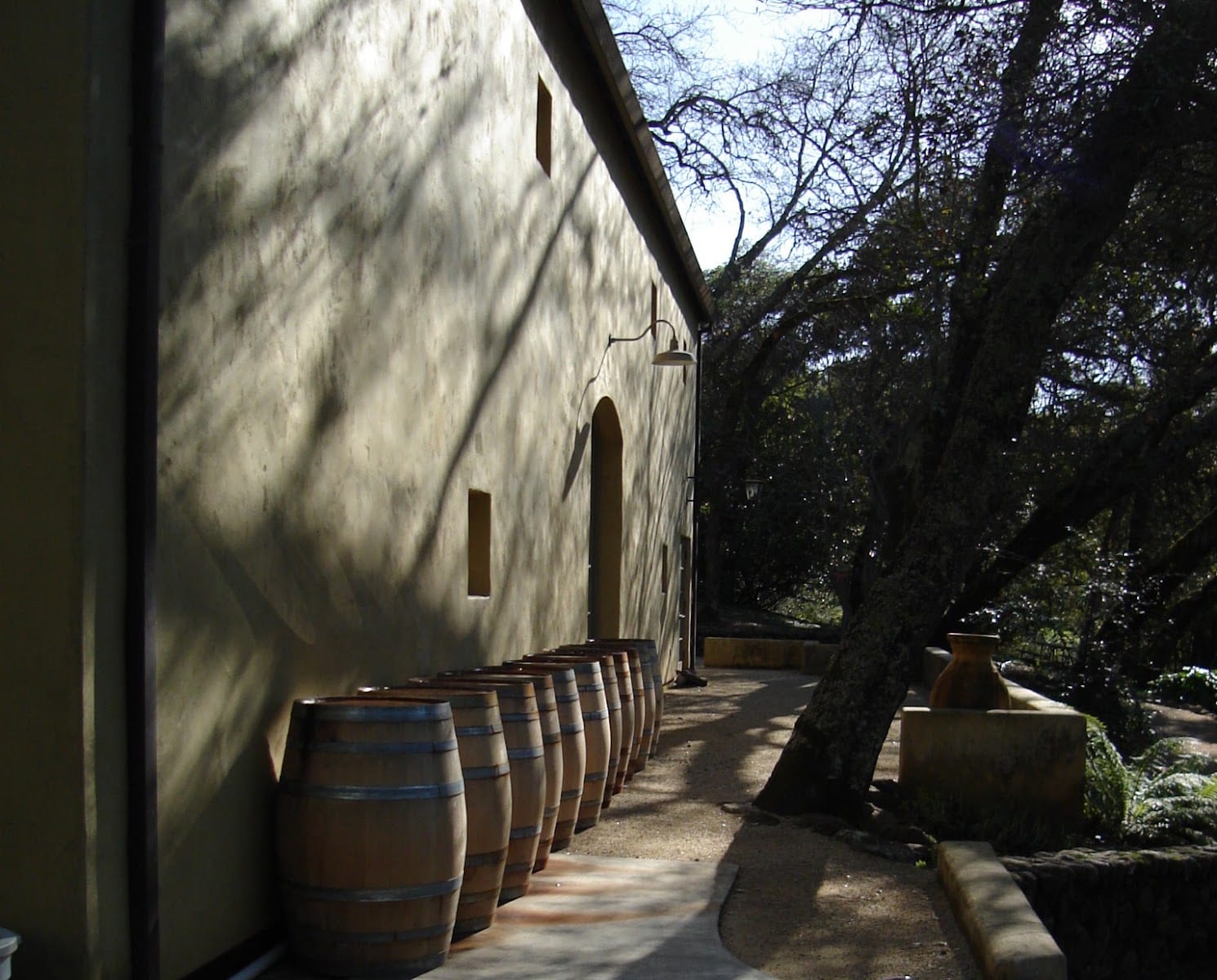 Farella Vineyard, photo 2
