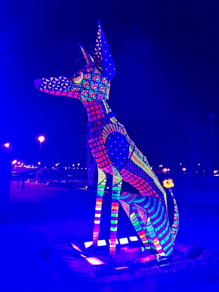 Napa Lighted Art Festival in January