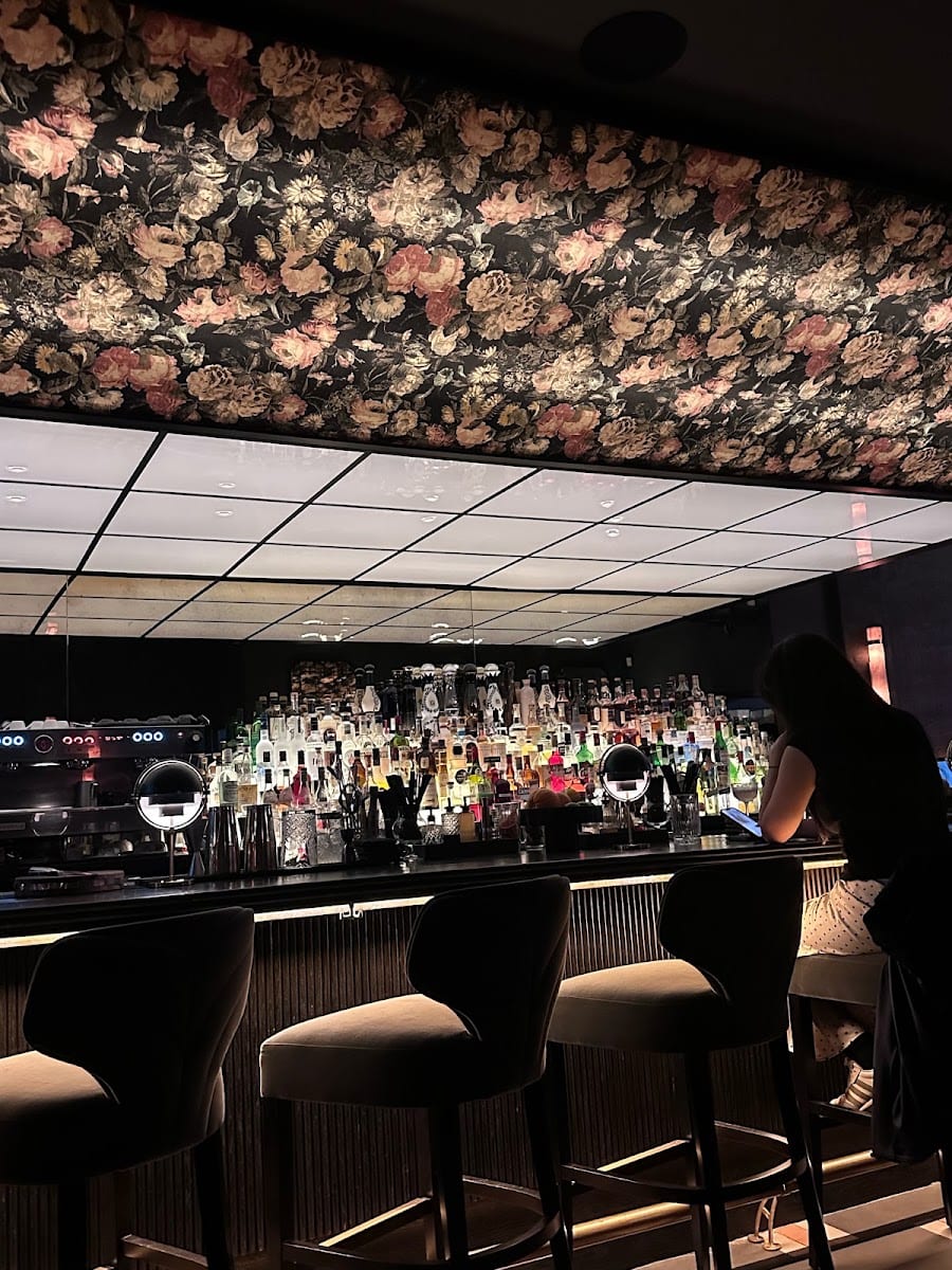Bar Roma Toronto
