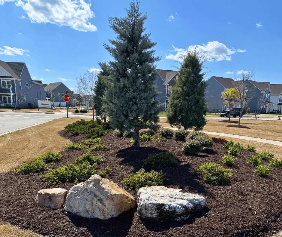 Schultz Lawnscapes Hampton VA