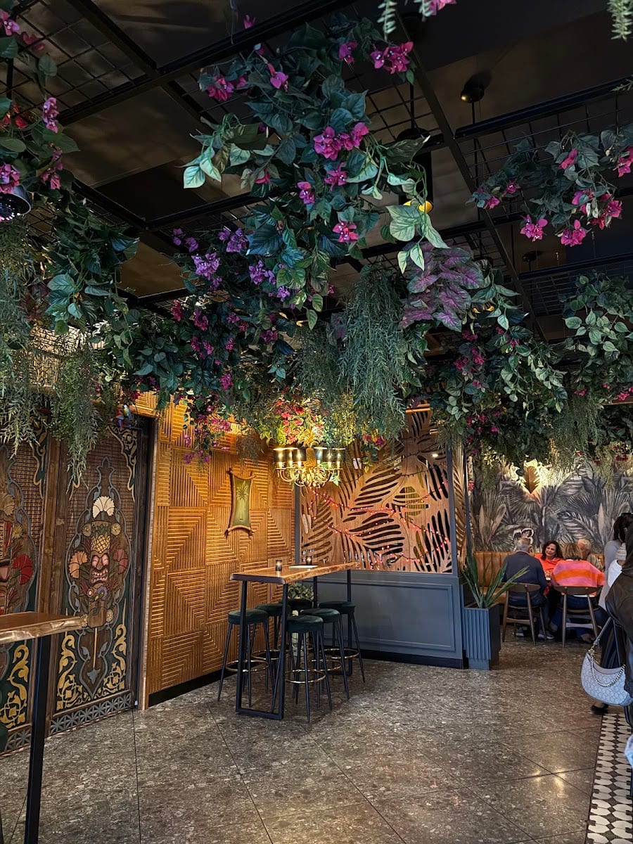 Bar Hana, photo 4
