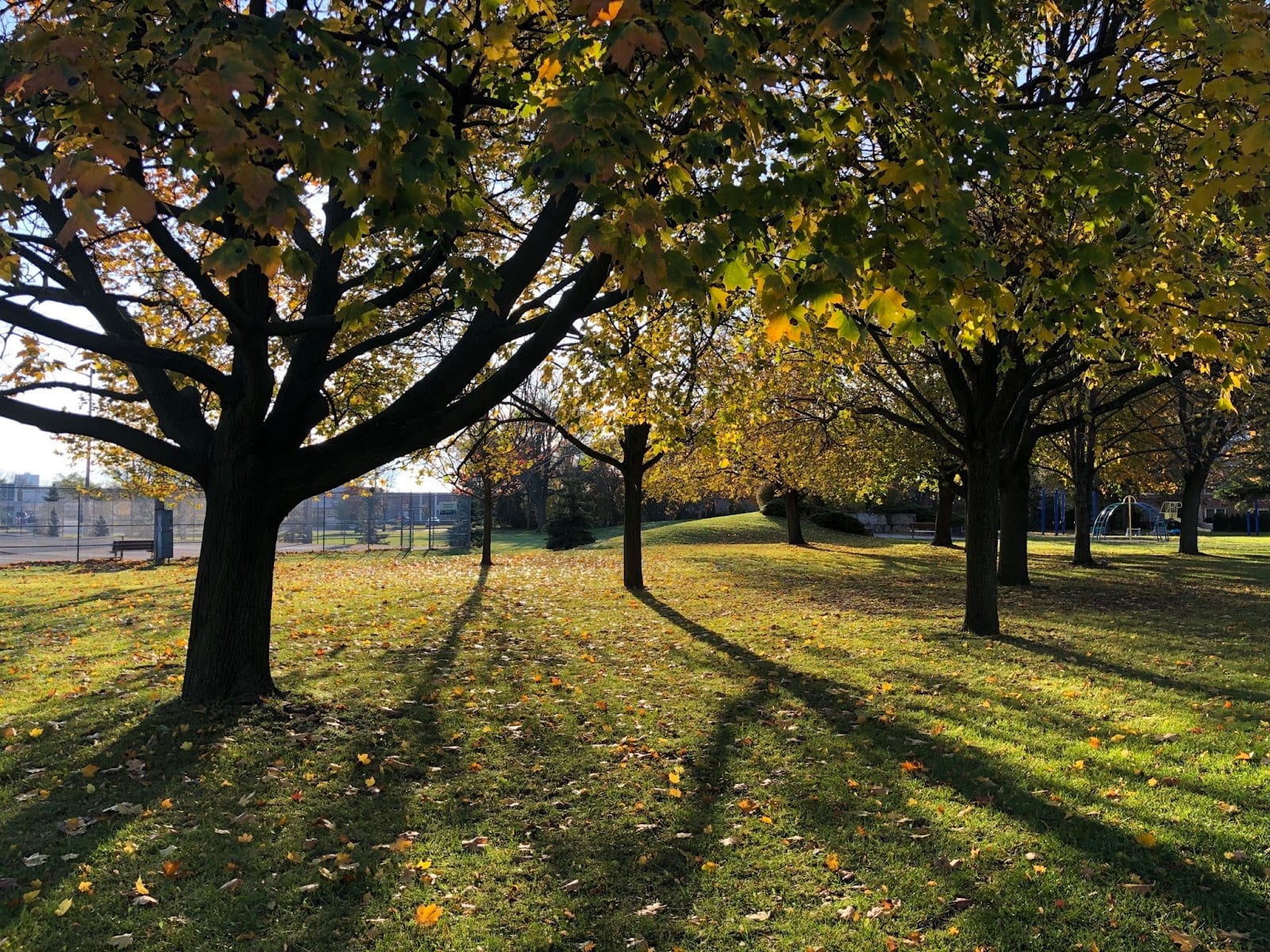 Kirkwood Park