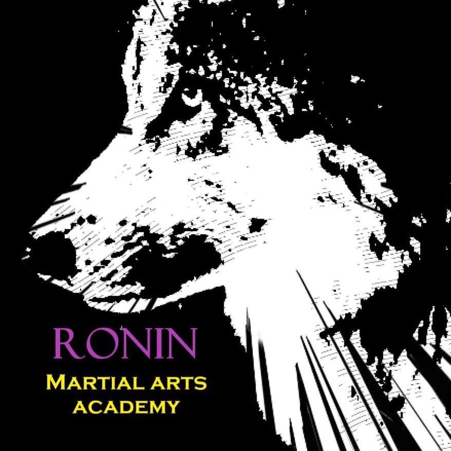 Ronin Martial Arts Academy, photo 2