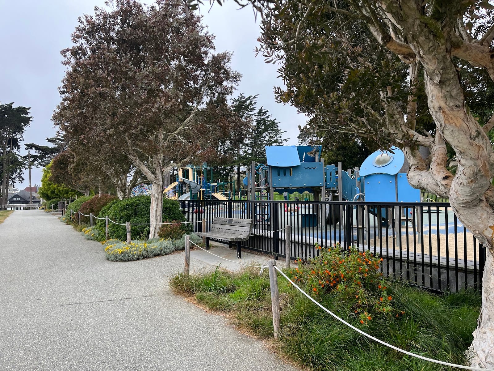 Alta Plaza Park Playground, photo 3