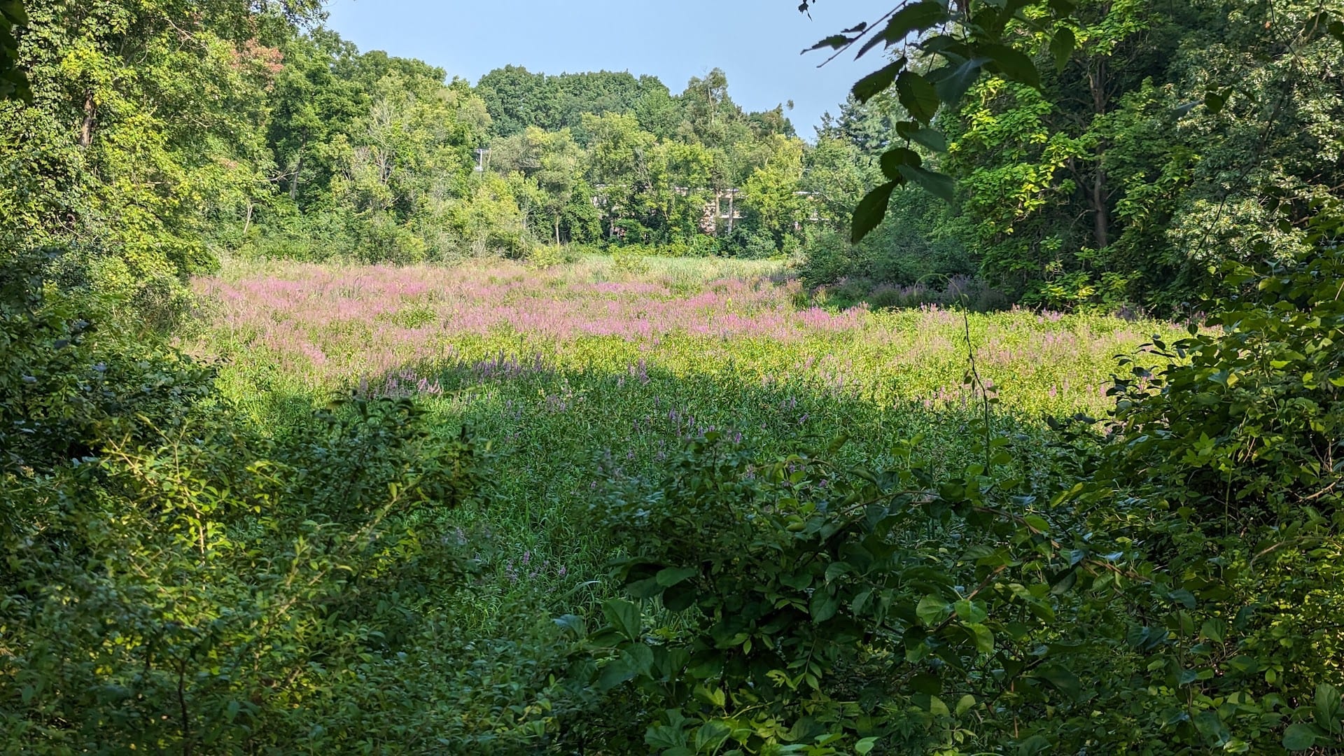 Brickyard Creek Trail, photo 4