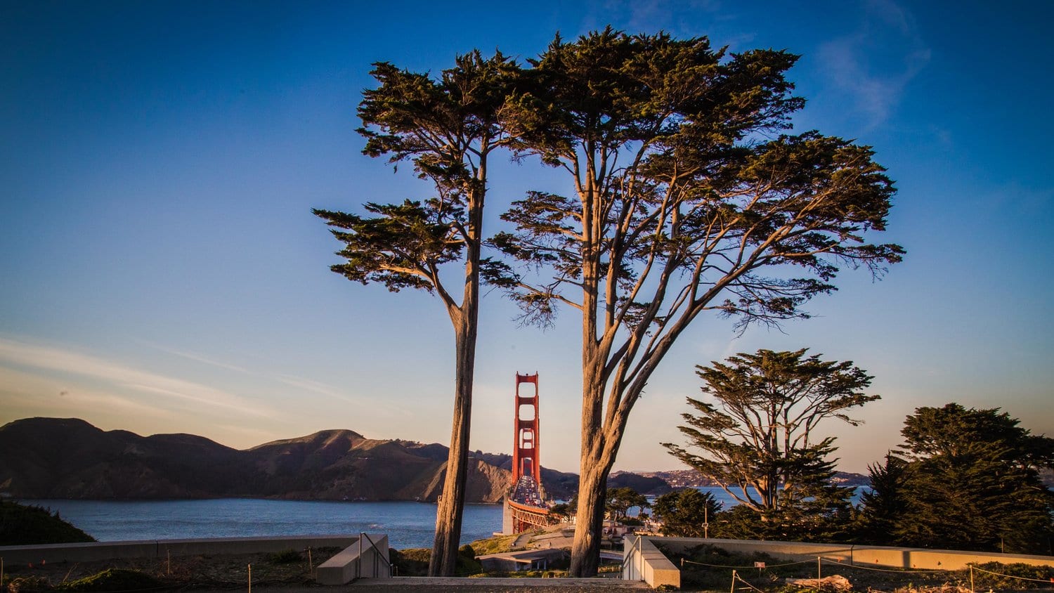 Munden Fry Landscape Associates - San Francisco, photo 3