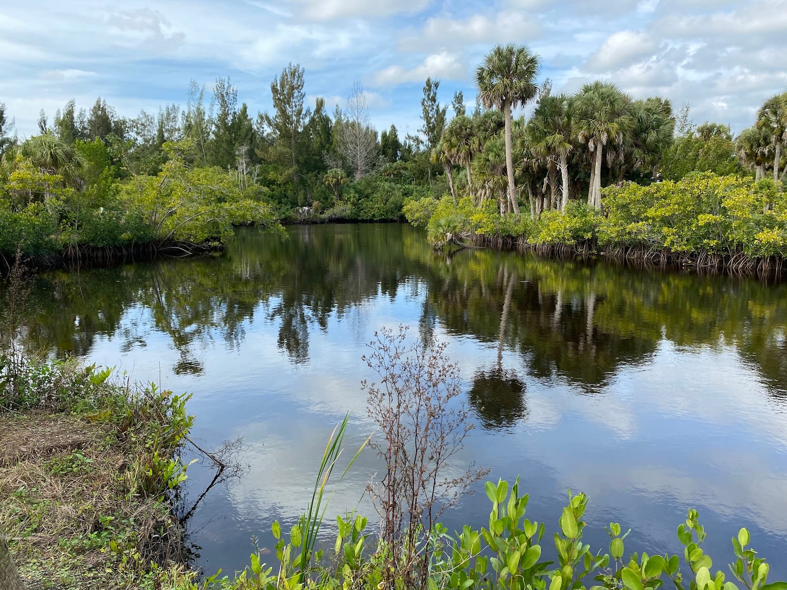 Senator Bob Johnson’s Landing
