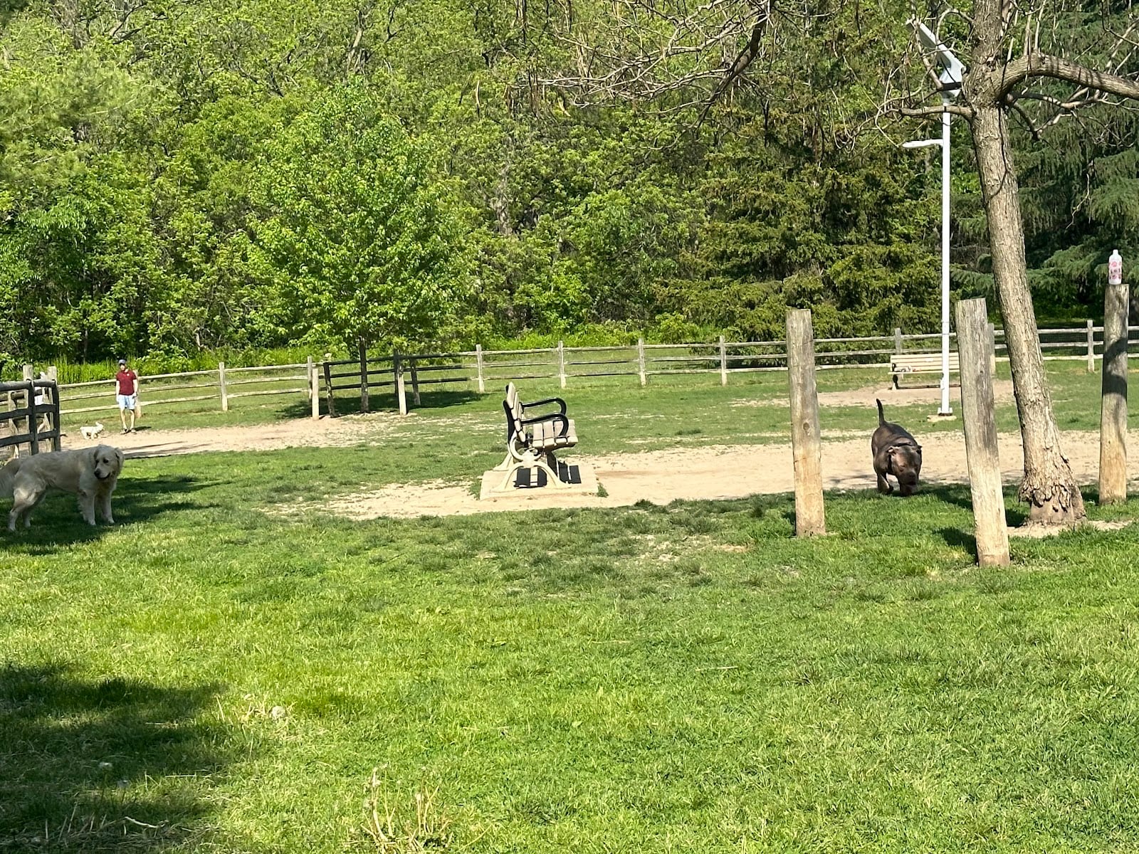 Earl Bales Park