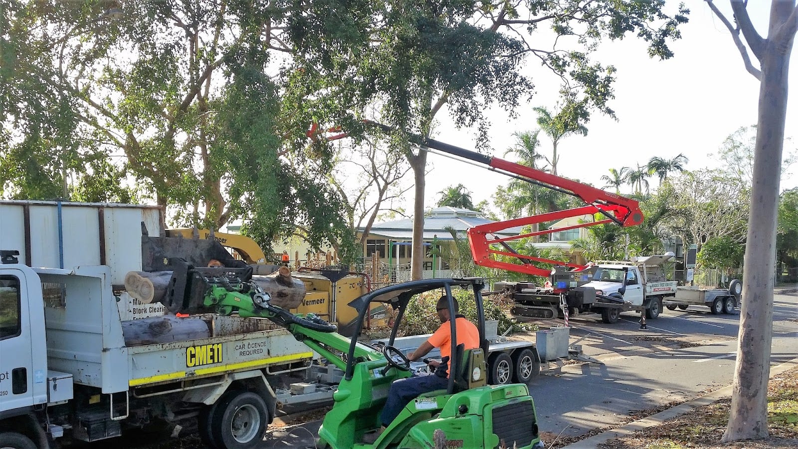 Wade's Tree Service, photo 2