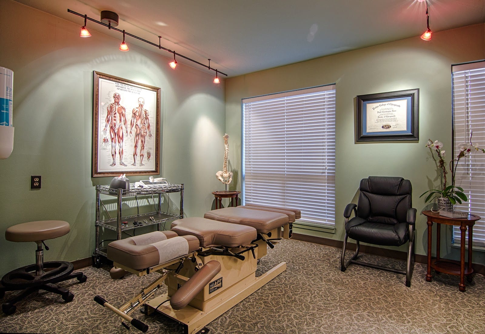 Ability for Health and Wellness Chiropractic Clinic, photo 2