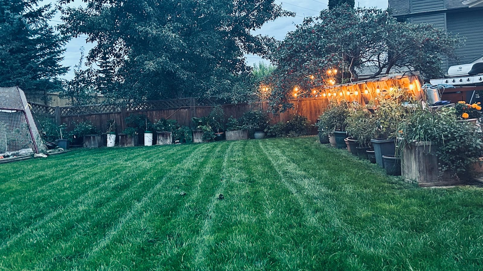 Macks Lawn Service, photo 4