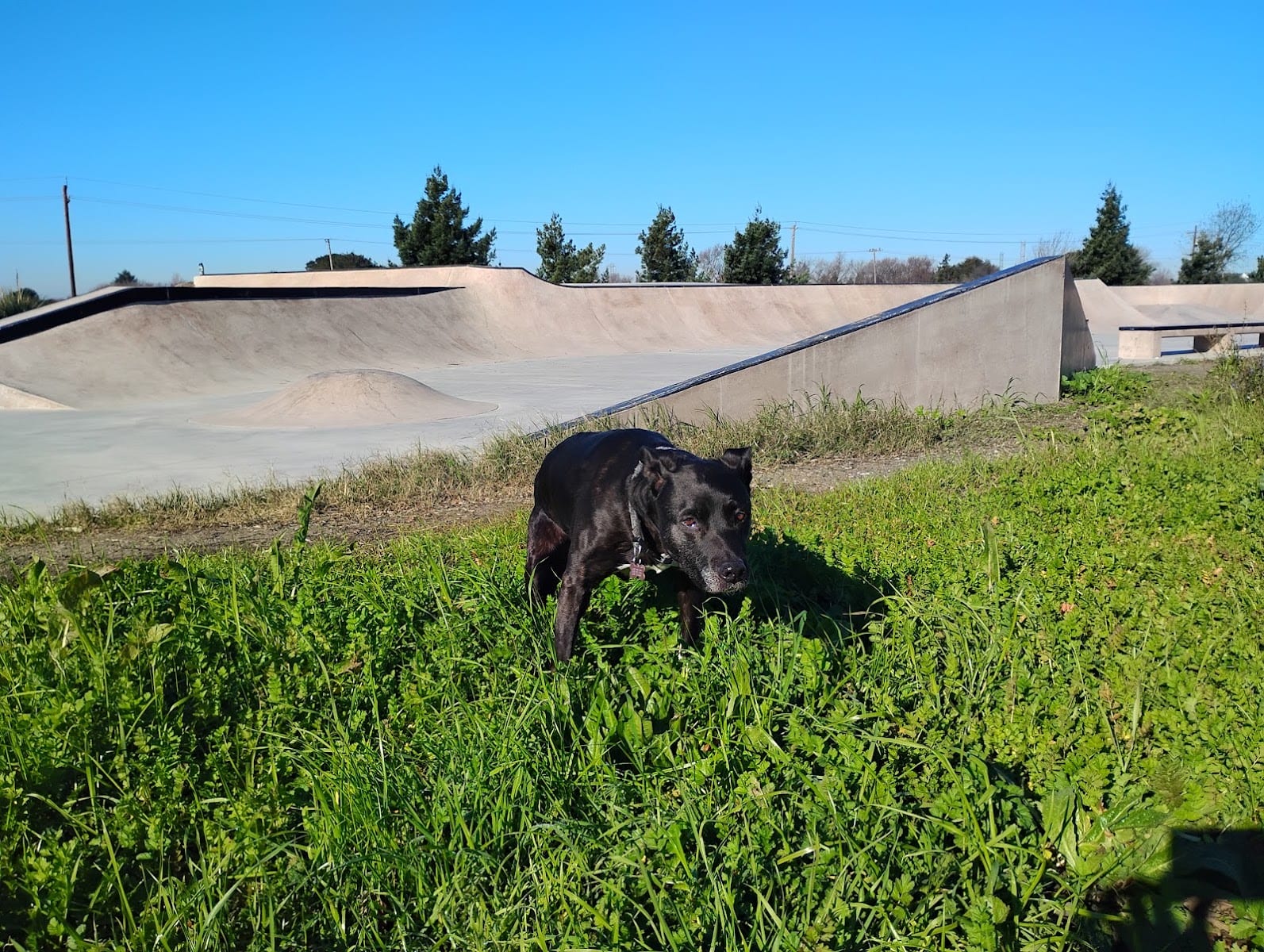 American Canyon Skate Park