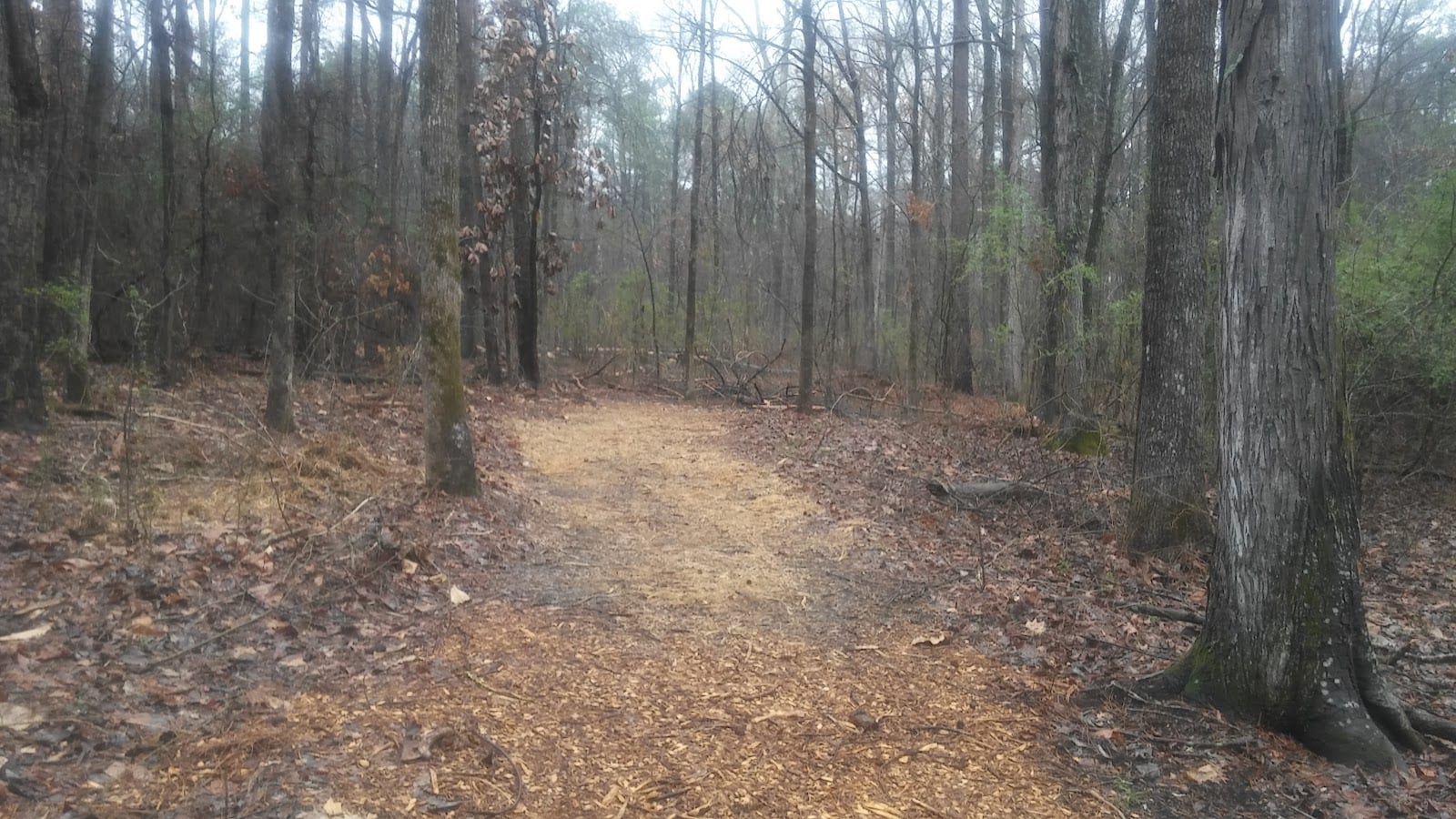 GE Trails, photo 3