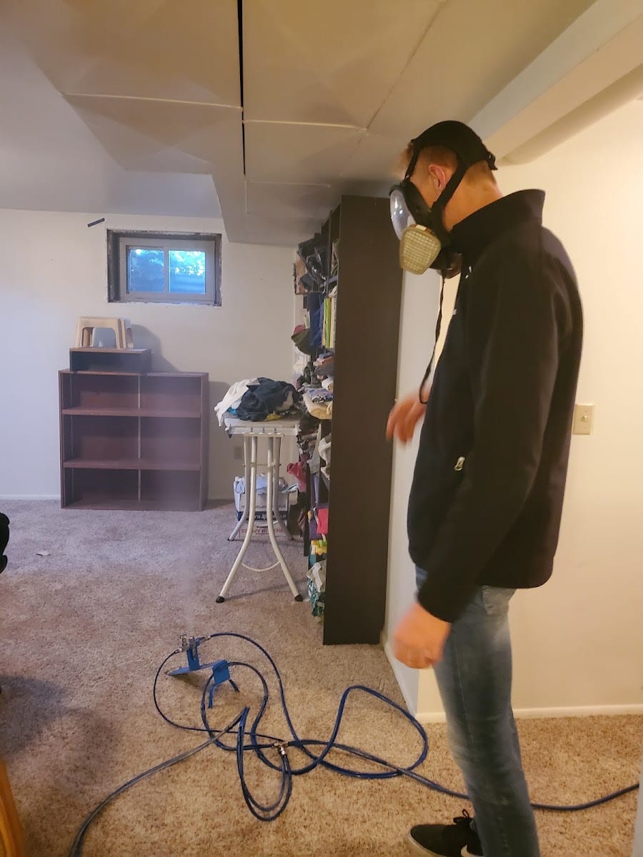 Mold Busters Logan, photo 4