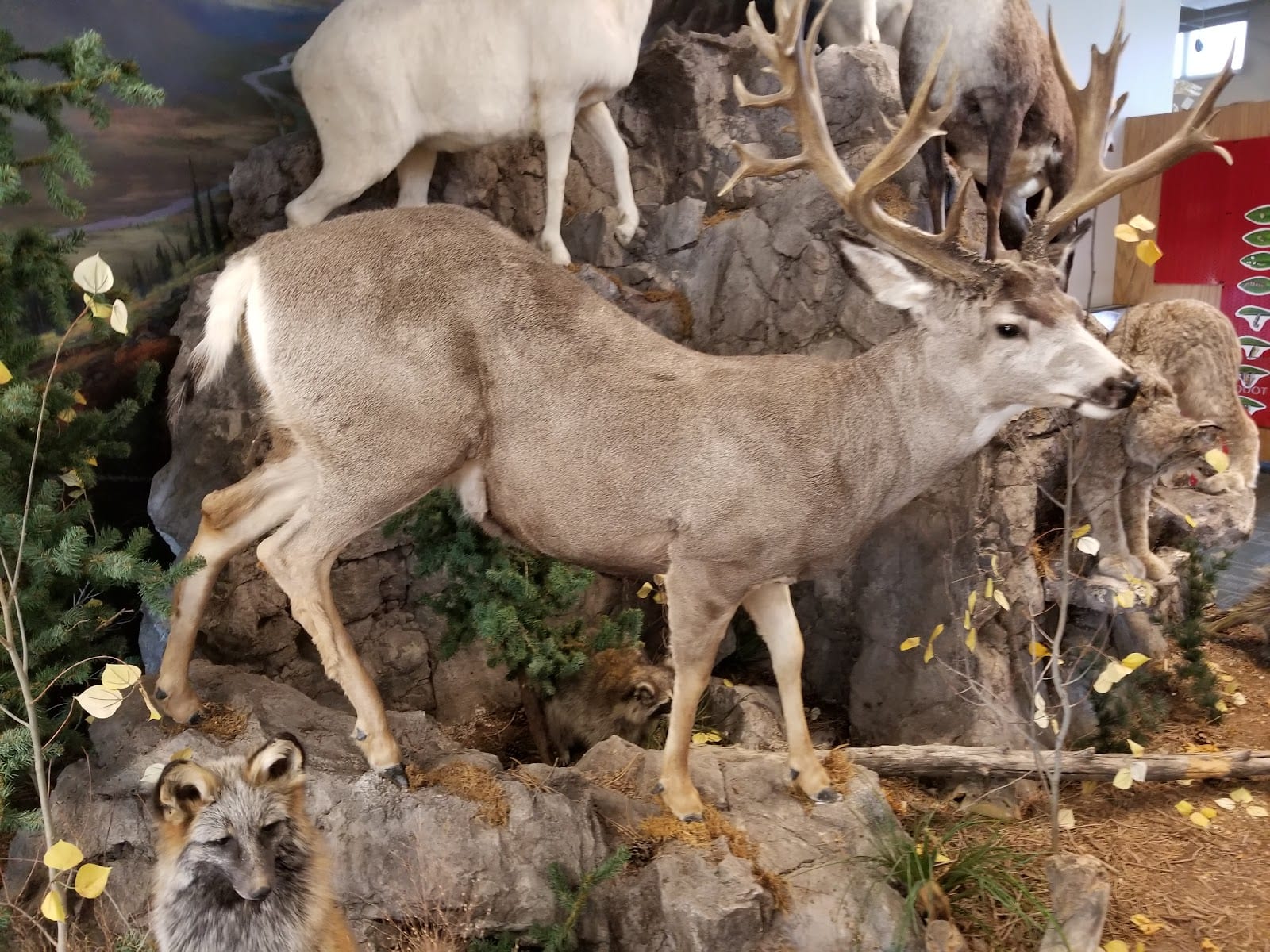 Garth & Jerri Frehner Museum of Natural History, photo 2