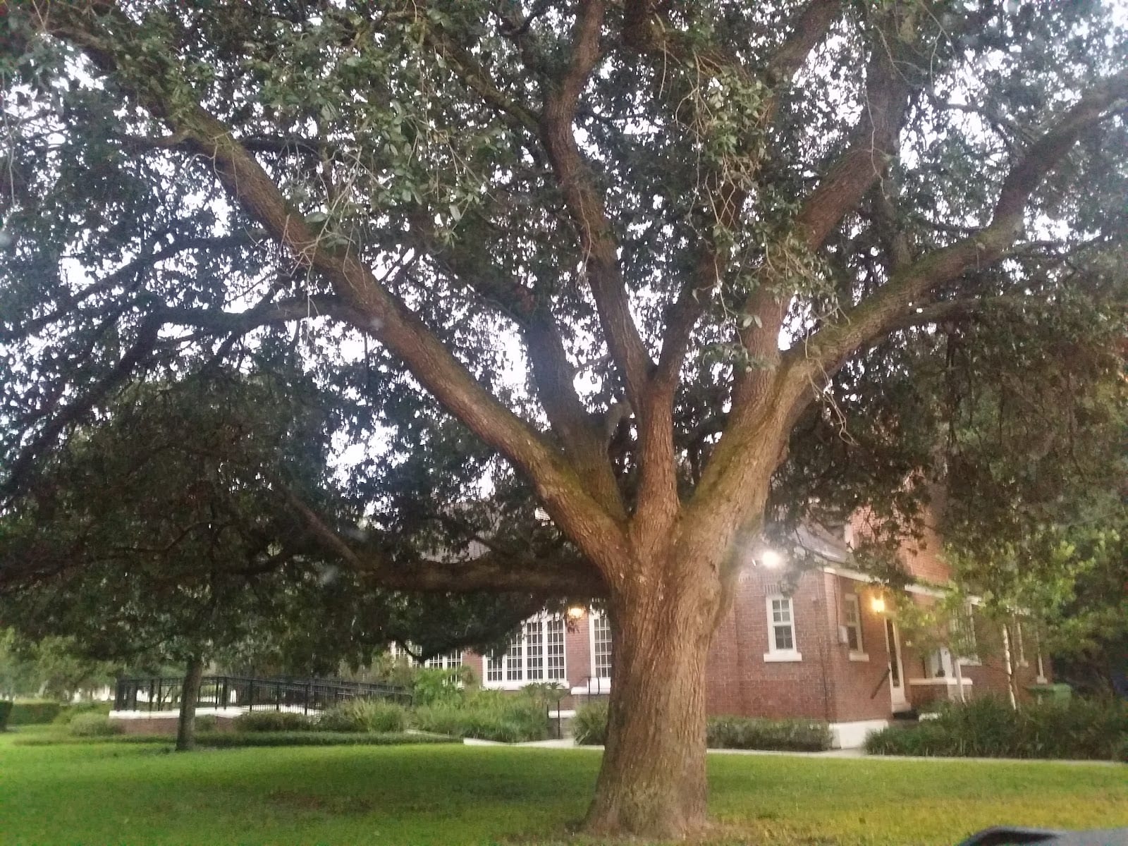 Seminole Garden Center