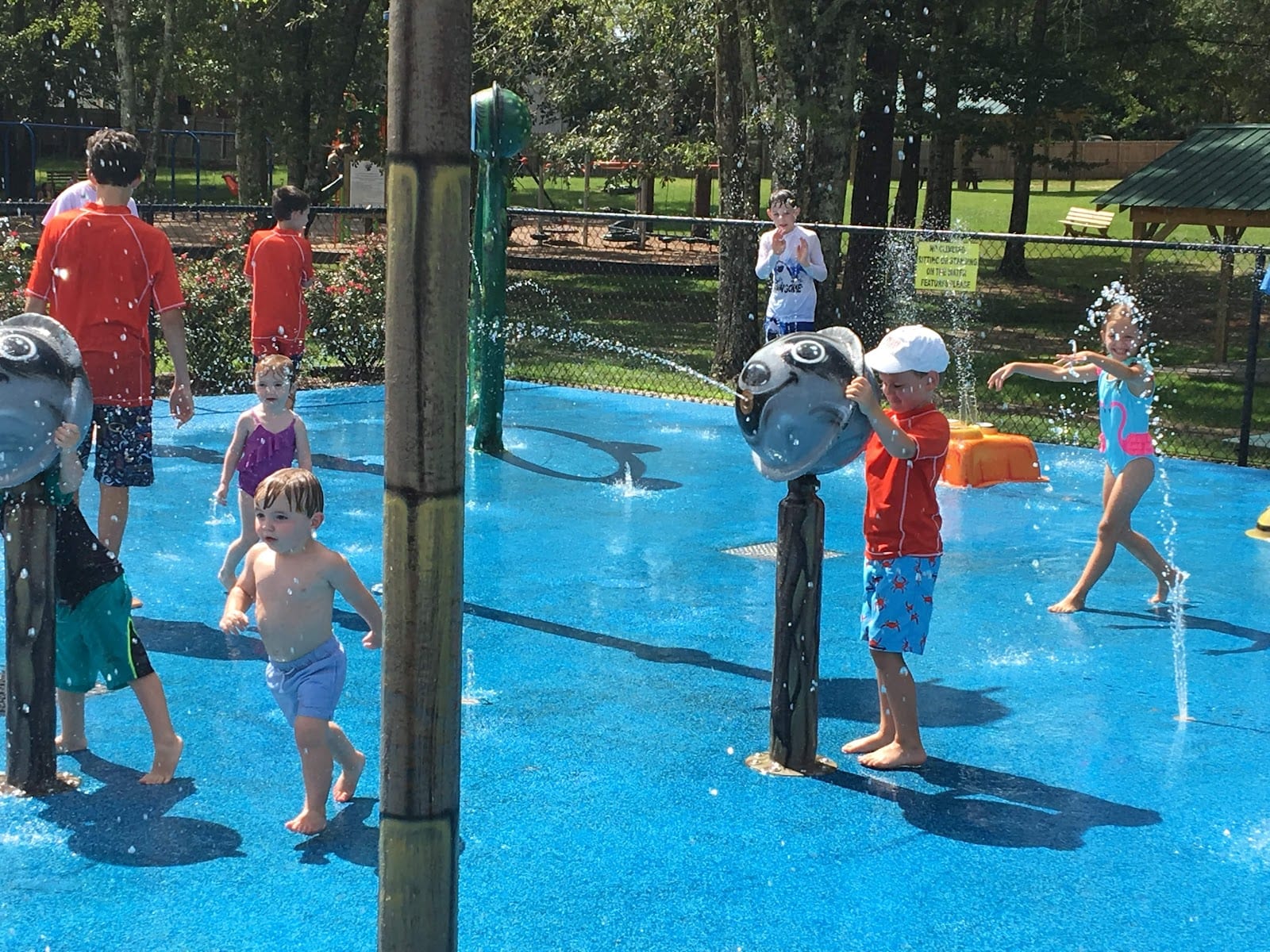 Semmes Municipal Park And Splash Pad, photo 3