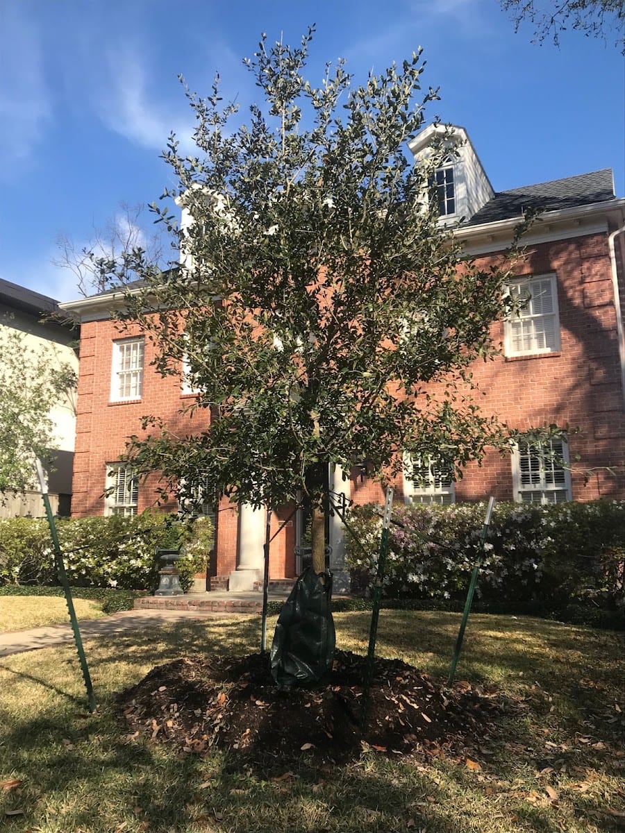 PermaVista Trees LLC, photo 4