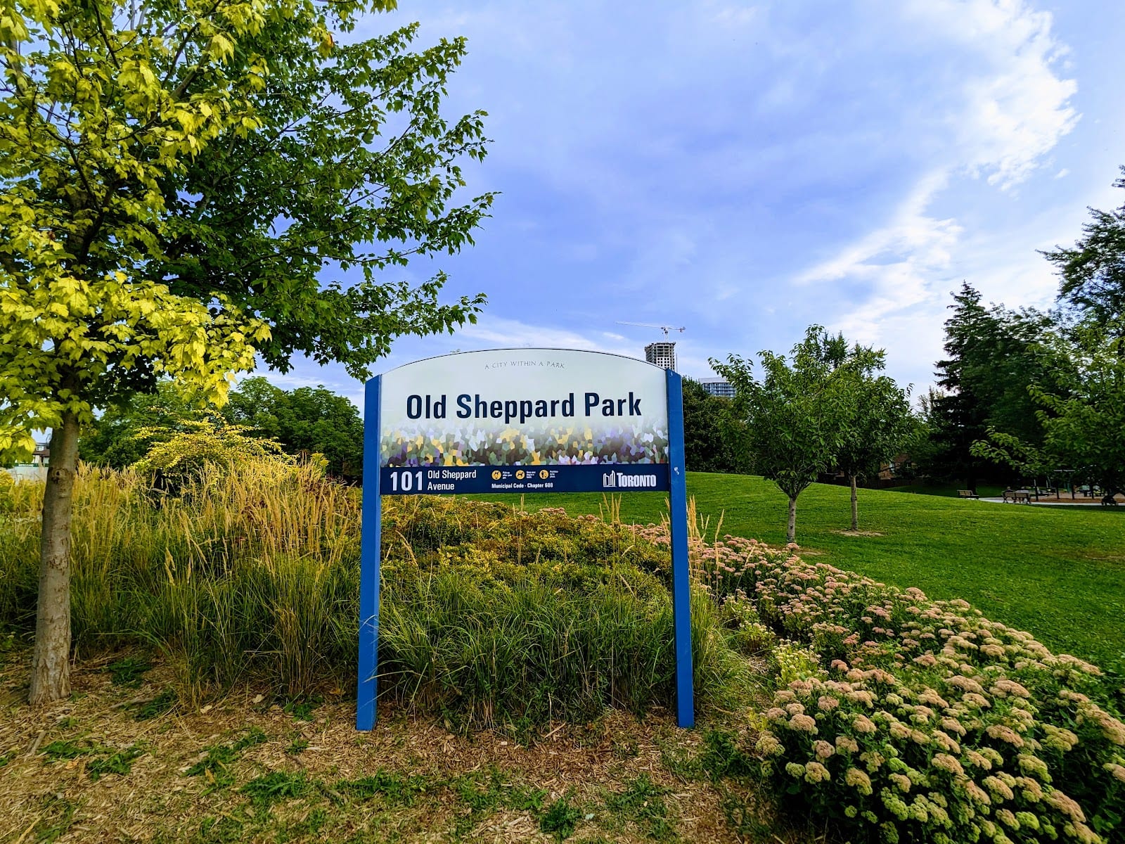 Old Sheppard Park, photo 3