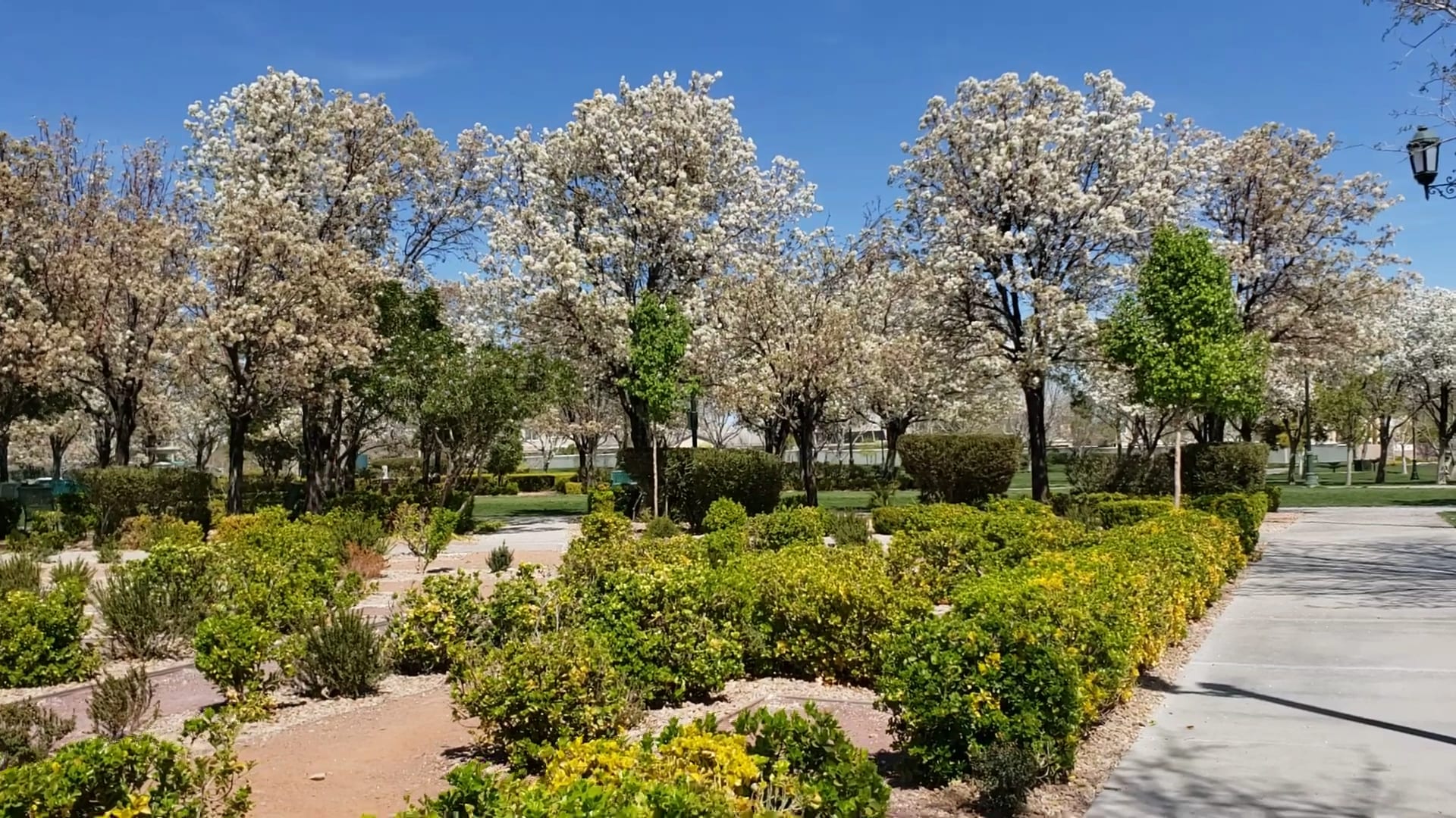 Gardens Park, photo 2