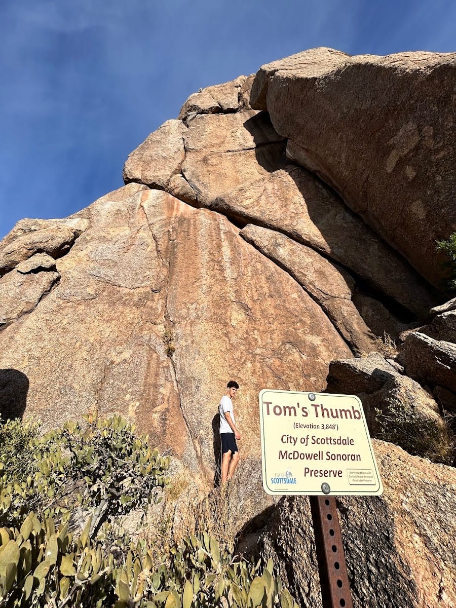 Tom's Thumb