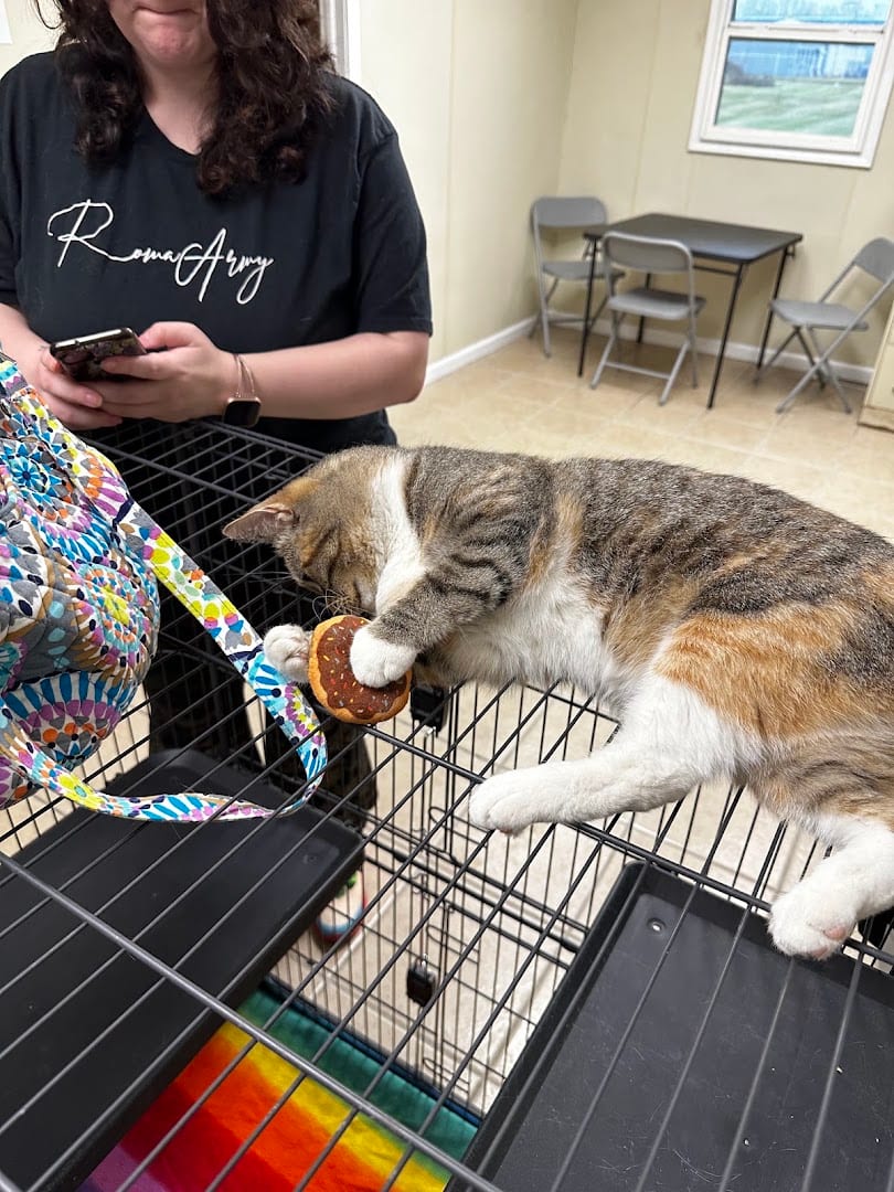 Calhoun County Animal Center, photo 2