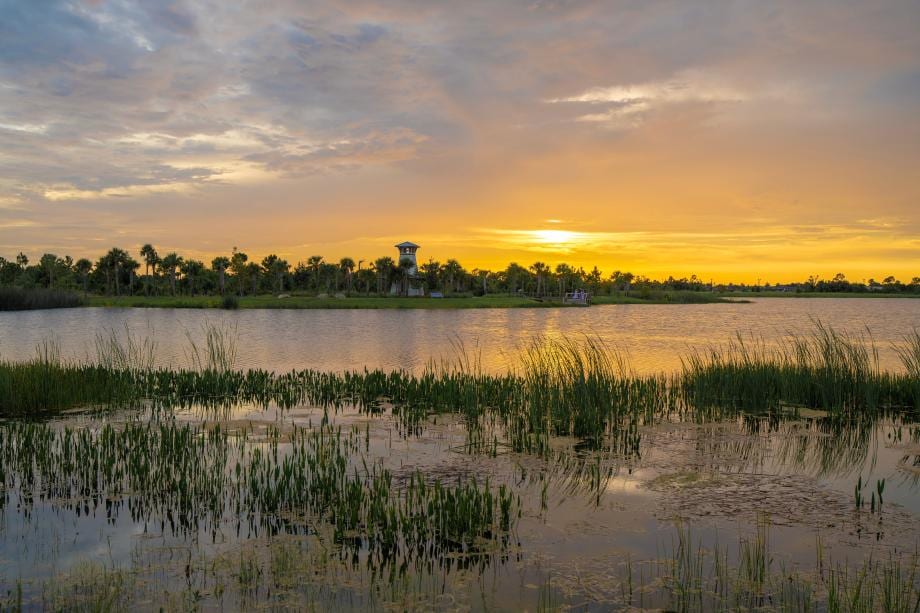 Oakbend Wellen Park by Toll Brothers, photo 4