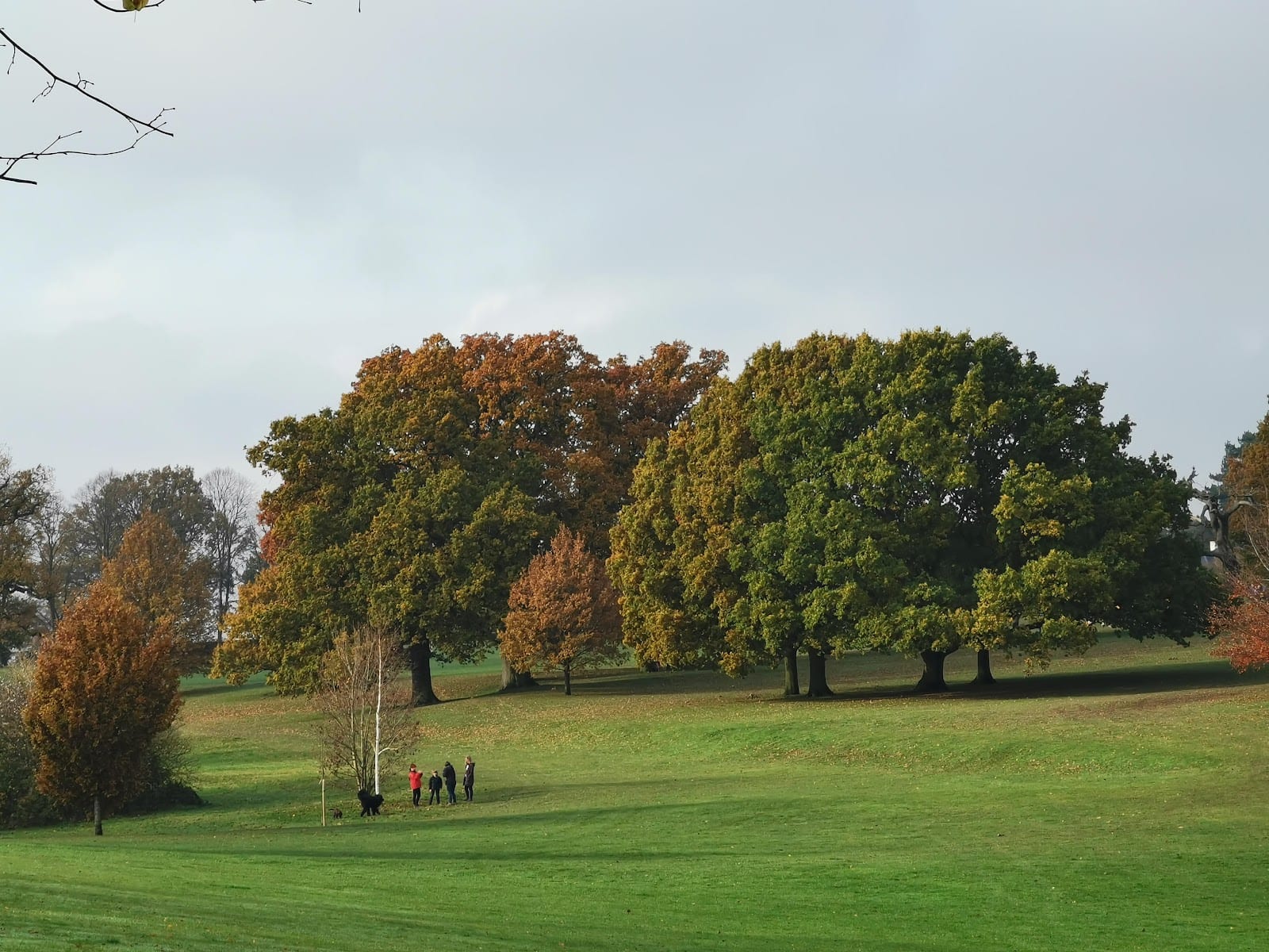 Harpenden Lawn Tennis Club