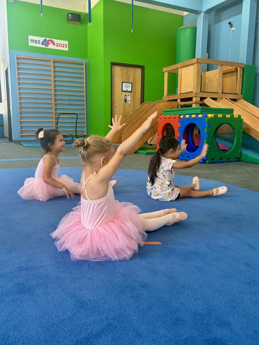 My Gym Children's Fitness Center, photo 3