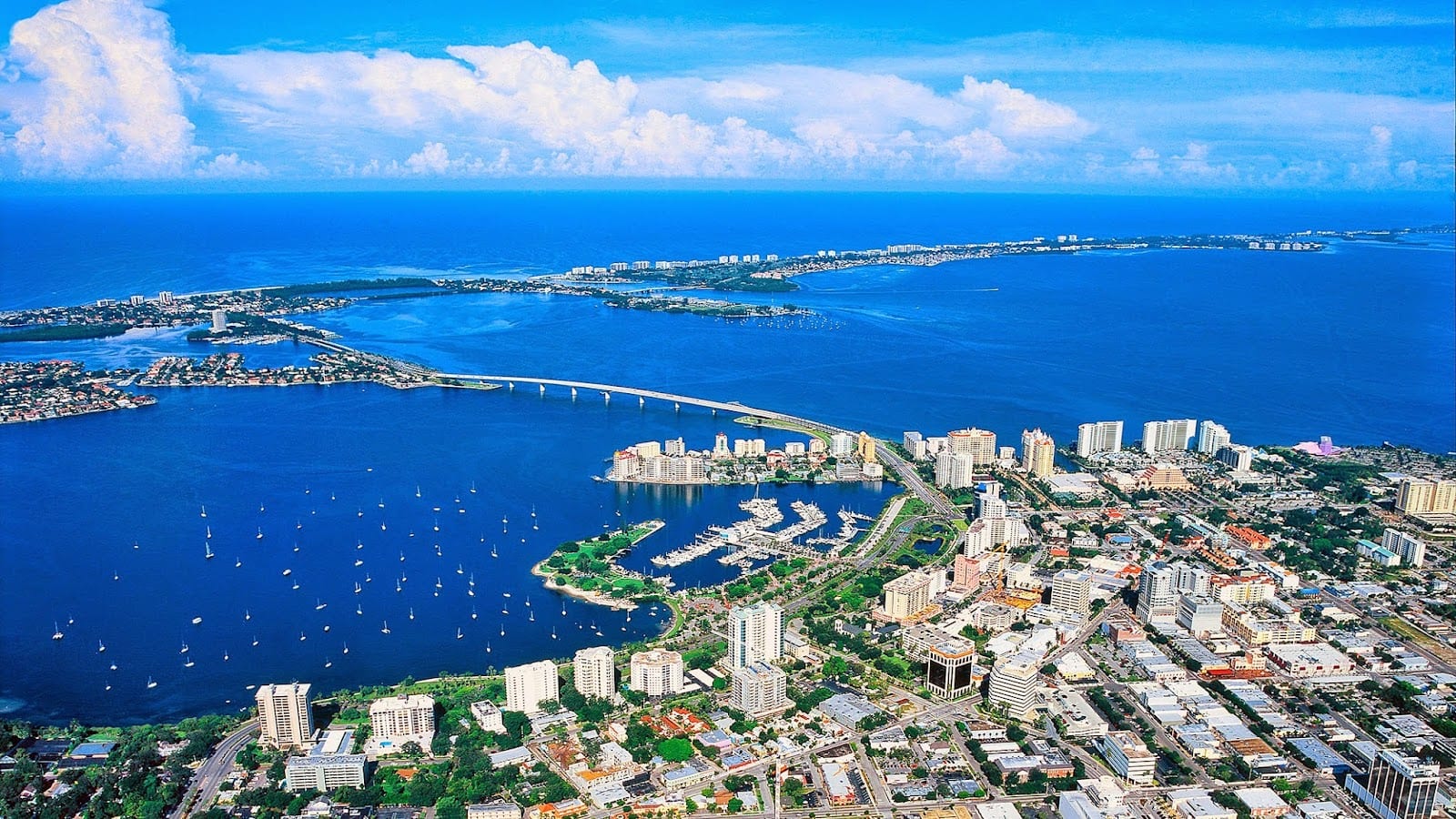 Michael Saunders & Company - Downtown Sarasota