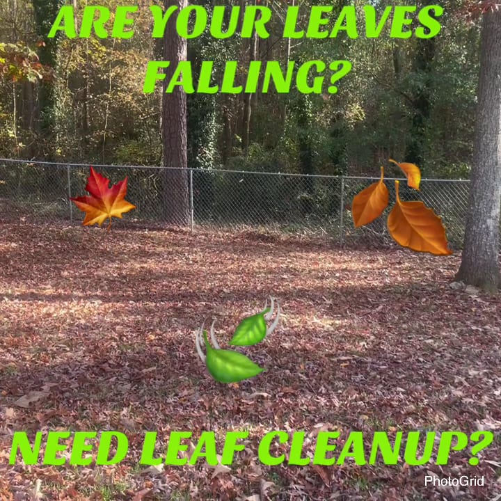 Harris Professional Lawn Care LLC, photo 3