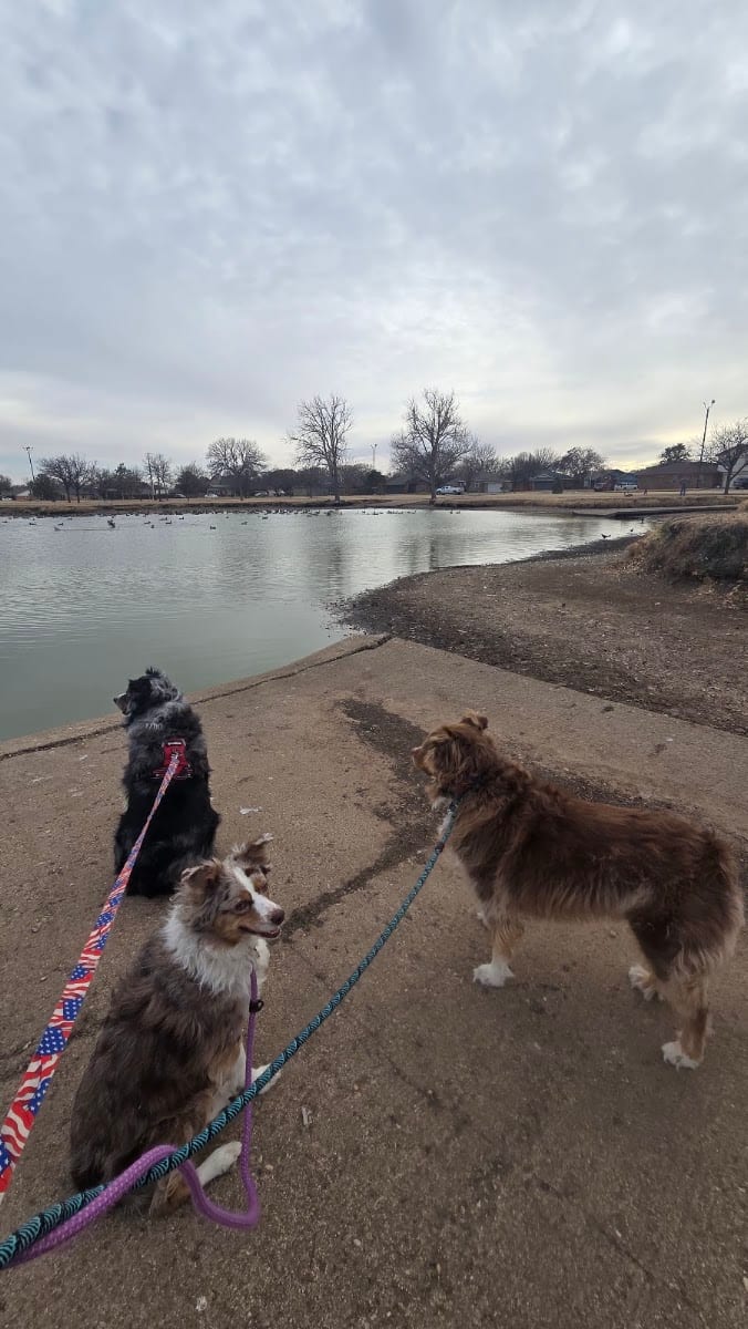 Phil Hoel Park