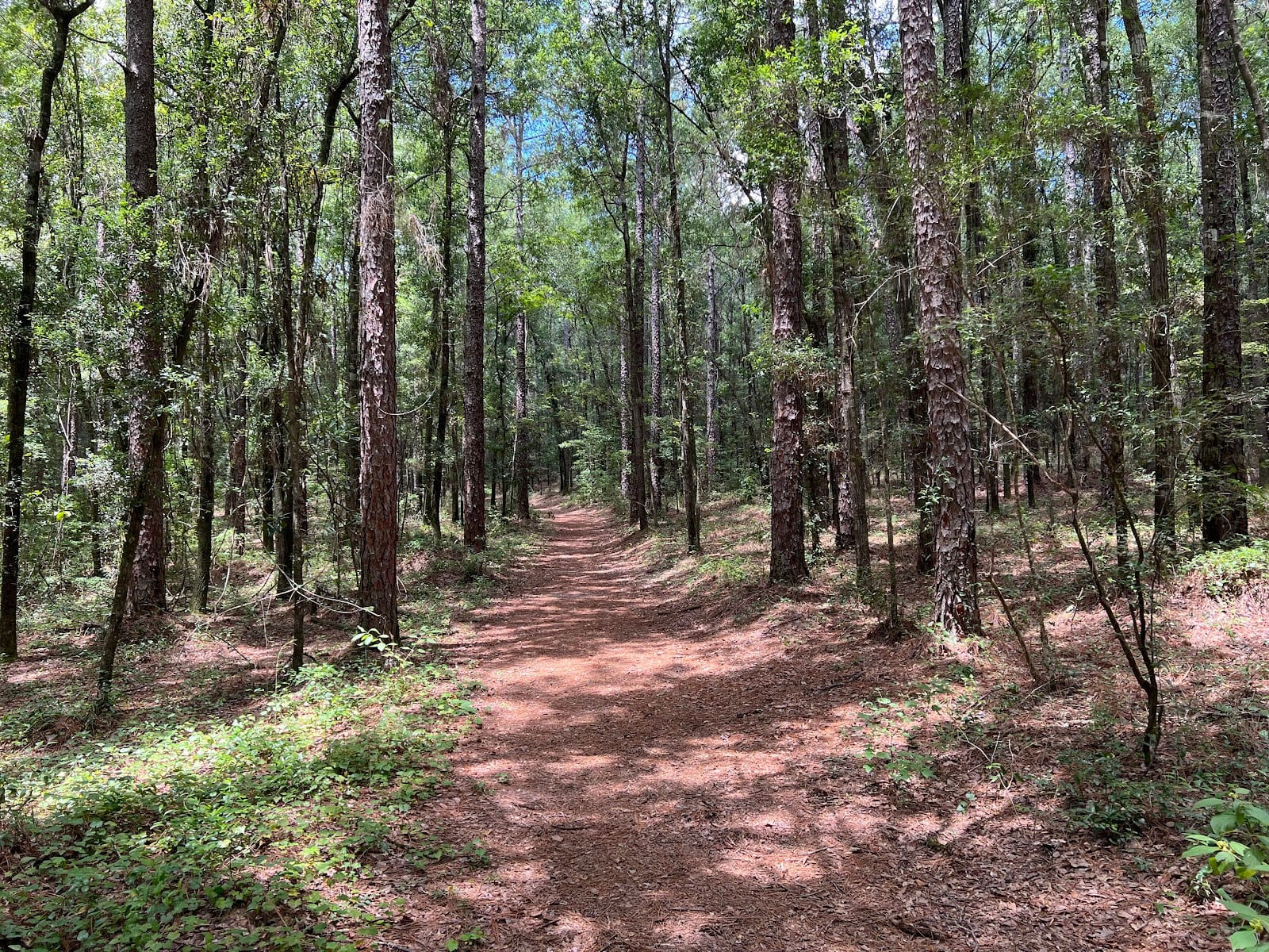Glenn Sebastian Nature Trail