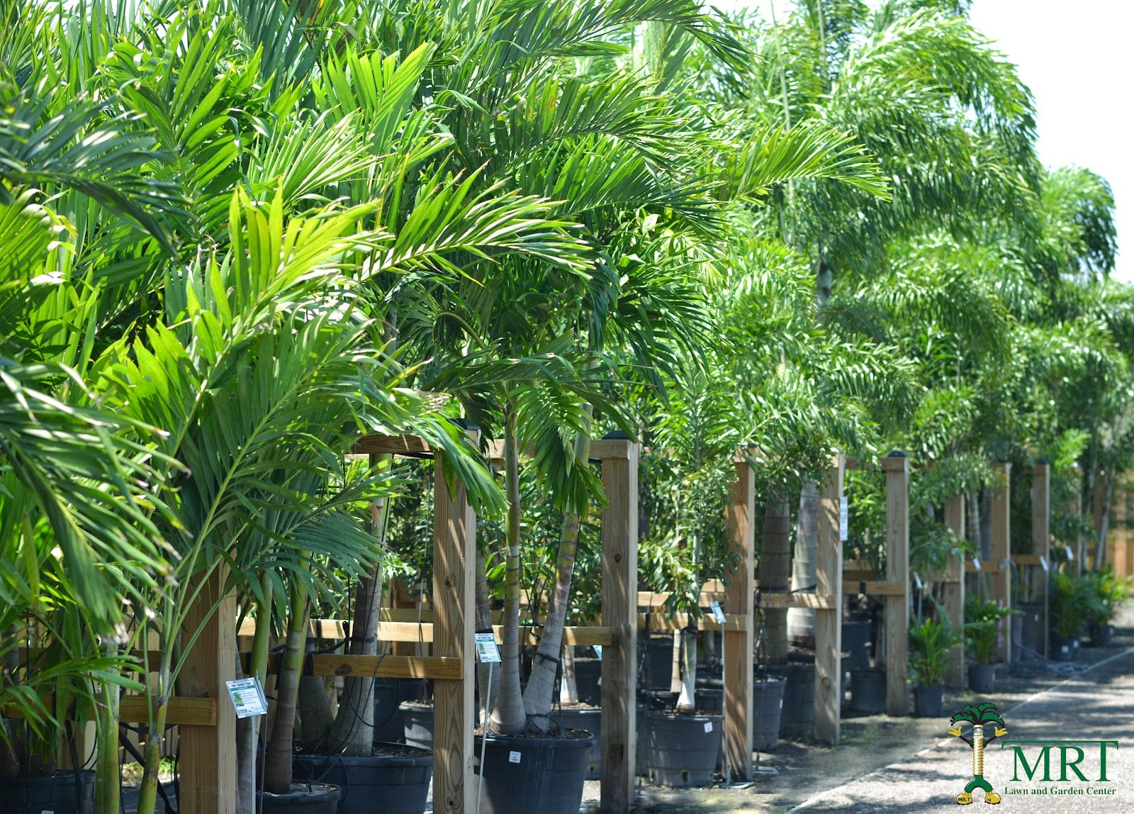 MRT Landscape Design and Installation Division, photo 2