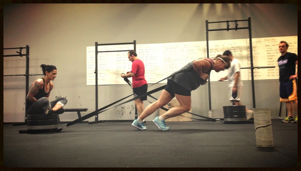 Wolf Brigade Gym
