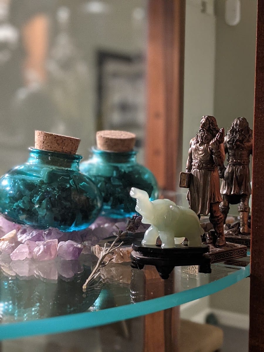 The Fascial Connections, photo 3