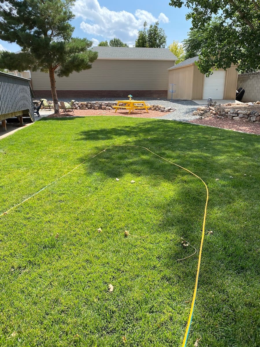 Newby's Pest * Lawn * Weed Control, photo 4