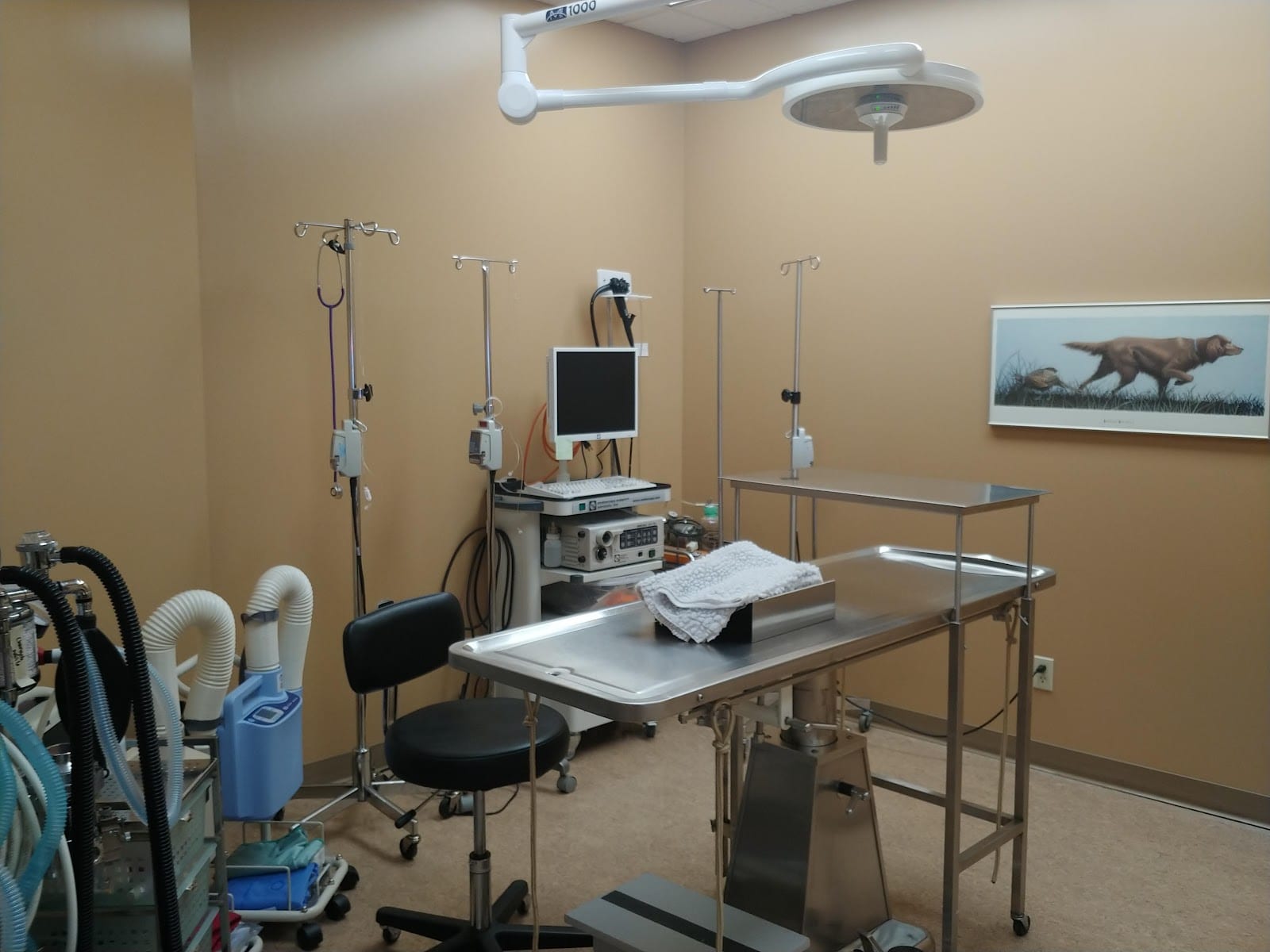 VCA Canada Mills Haven Animal Hospital