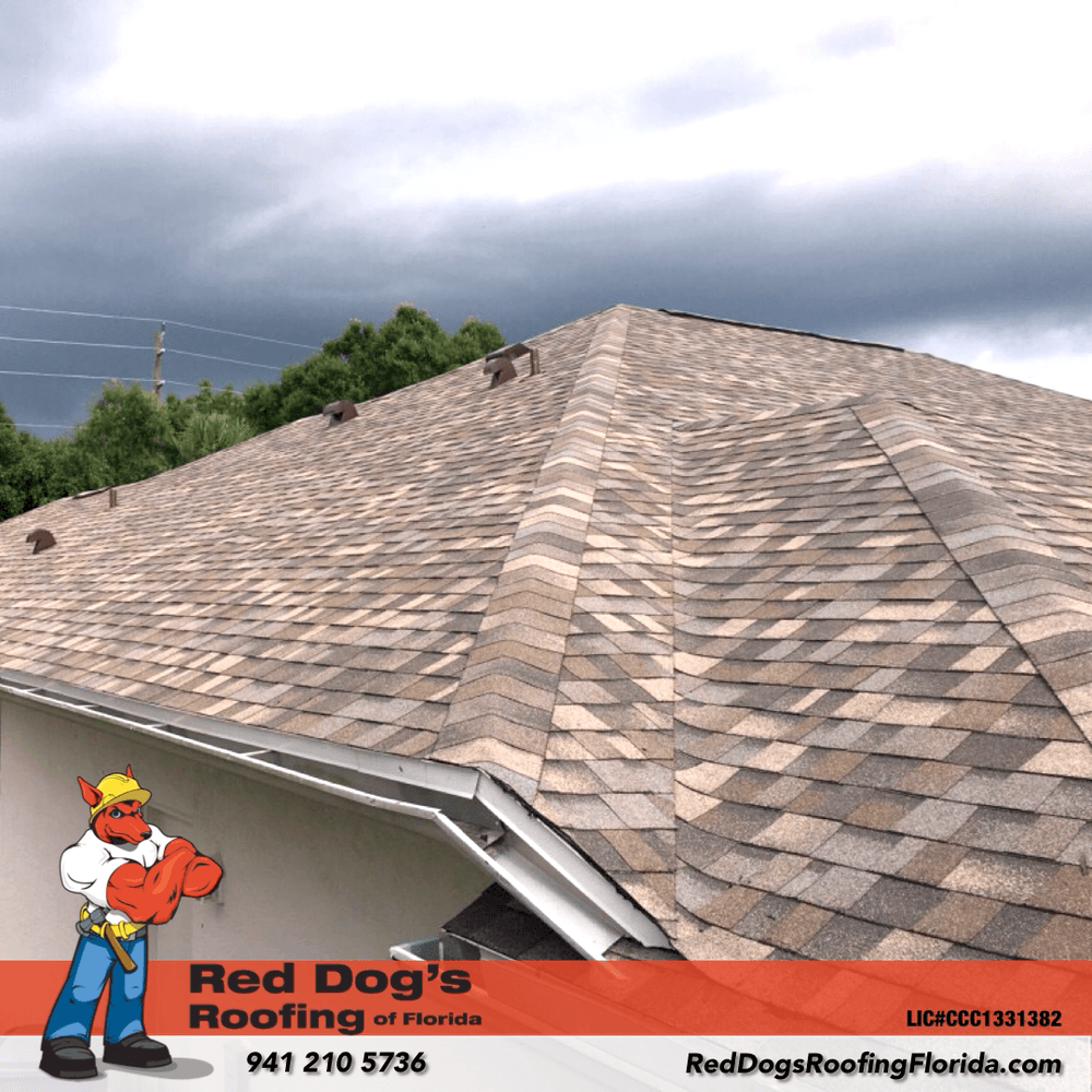 Red Dog's Roofing of Florida, photo 2