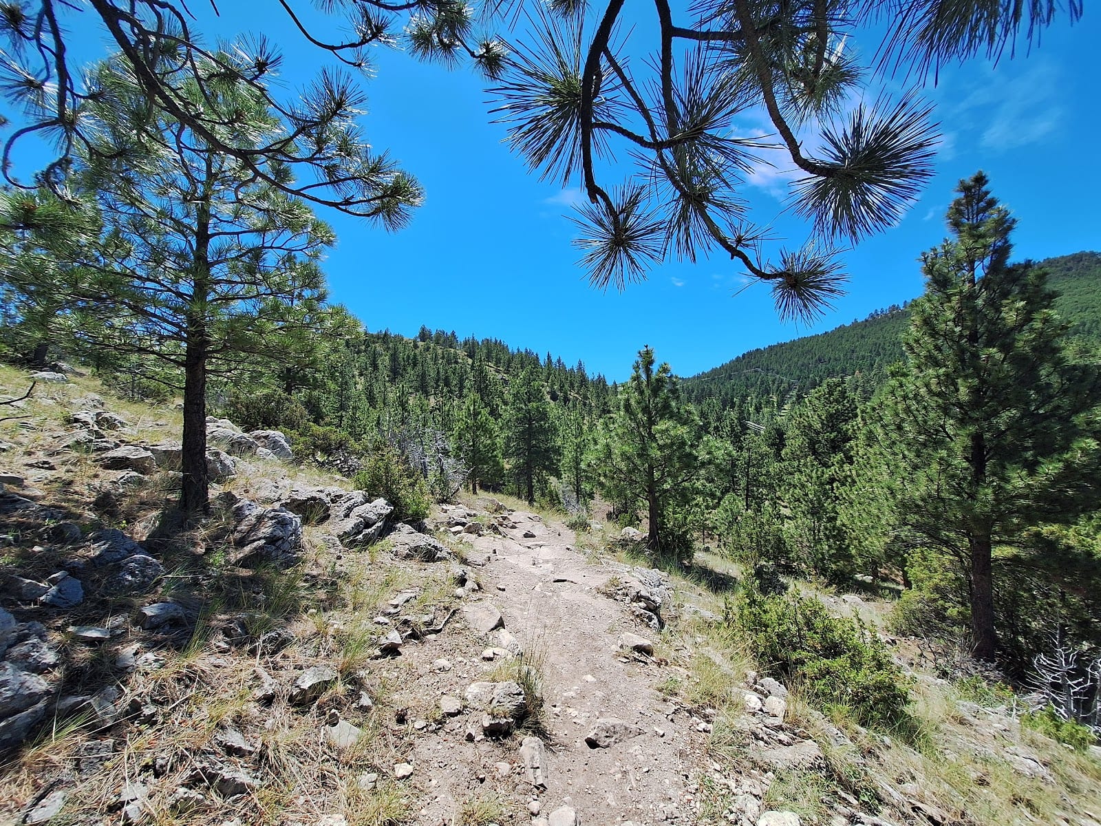 Lime Kiln trailhead, photo 2